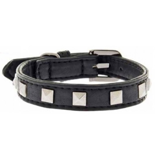 Collari, guinzagli e pettorine