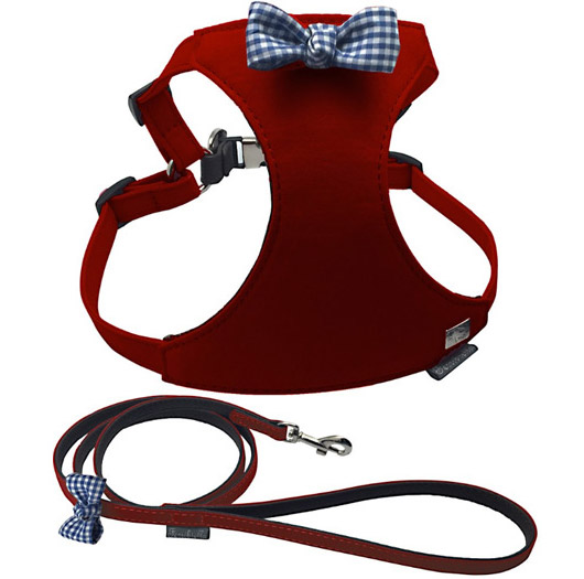 Collari, guinzagli e pettorine